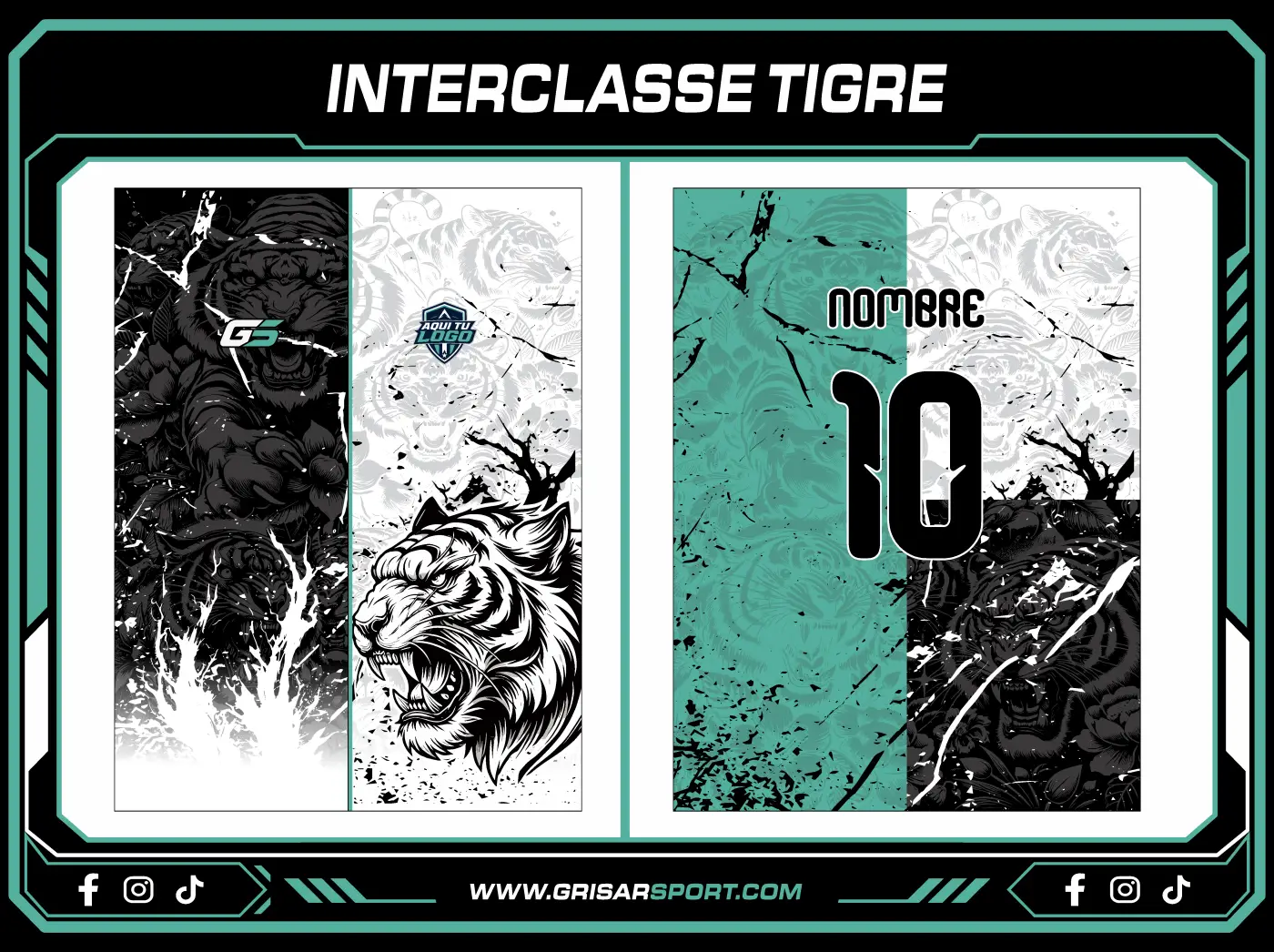 INTERCLASSE TIGRE V2